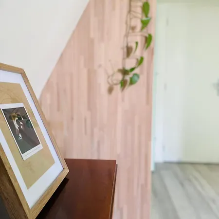 公寓 Duplex En Plein Coeur De - 437 *